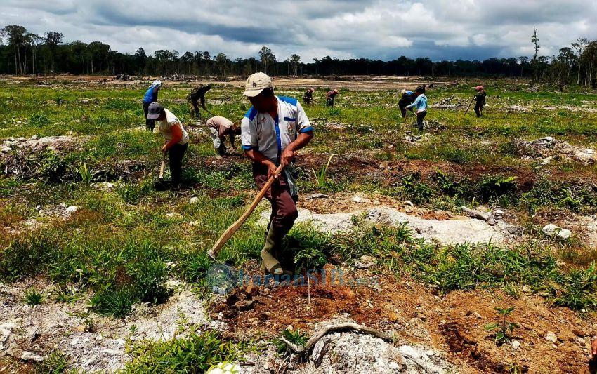 Kadis LH Dairi Beri Kesaksian di PN Sidikalang, BWS Sumatera I Tegaskan tidak Ada Aliran dan Sempadan Sungai di Eks Konsesi PT Gruti
