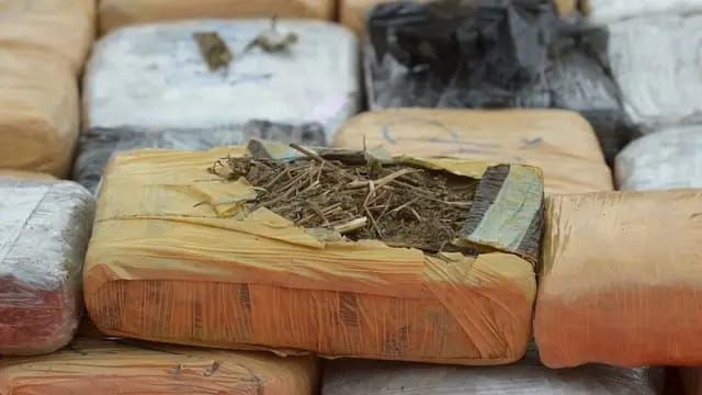 Polda Sumut Tangkap 3 Pelaku dan Amankan 169 Kg Ganja dari Aceh di Deliserdang