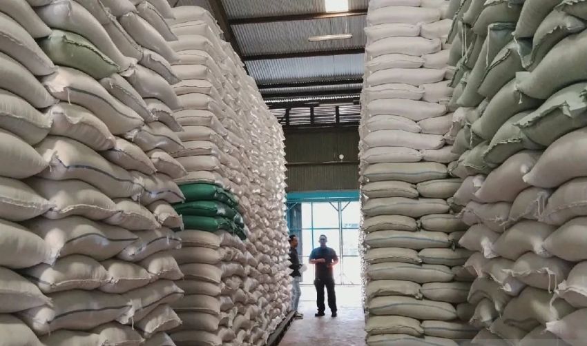 Sumut Surplus Beras 5.704 Ton hingga Juli 2026