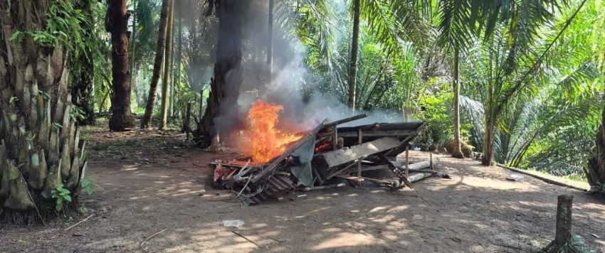 Sinergi Polisi dan Warga, Sarang Narkoba di Sungai Buaya Sergai Dibakar