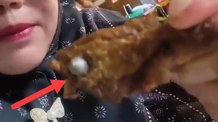 Benda Diduga Peluru Ditemukan Dalam Daging Menu MBG di Lampung Utara