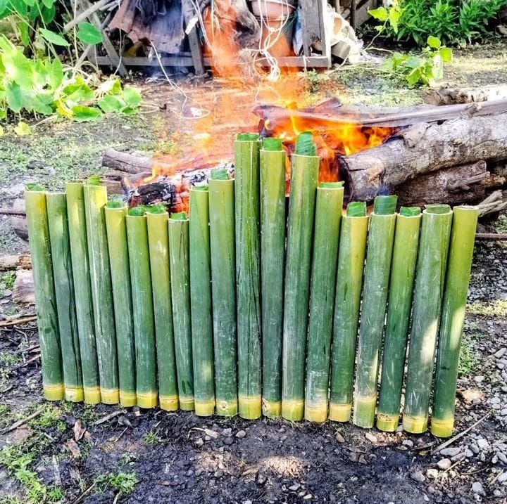 &lrm;Mekhikhis, Tradisi Bakar Lemang Masyarakat Alas Sambut Maulid Nabi