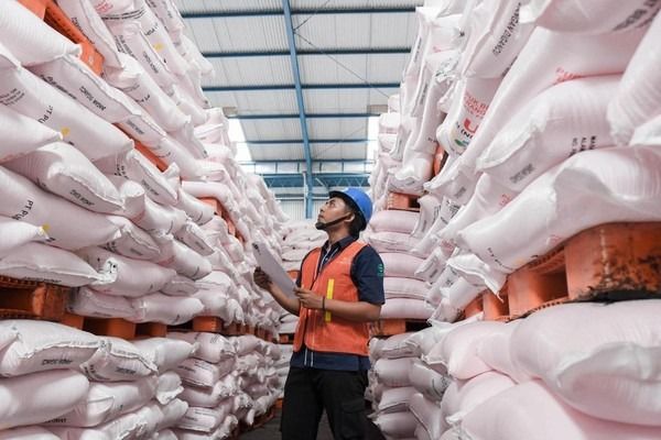 Realisasi Penyaluran Pupuk Bersubsidi Tertinggi di Sumut: NPK 61,97 Persen, urea 58,41 Persen