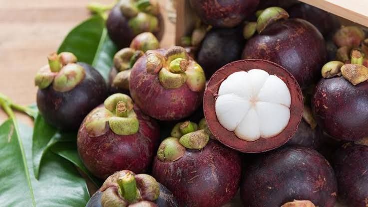 Manggis Makin Langka di Pasaran, Produksi Sumut Capai 20.352 Ton
