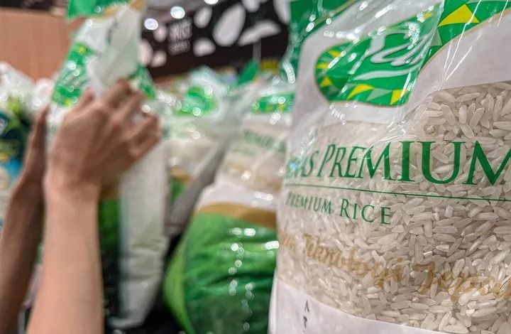Beras Premium Langka Saat di Musim Panen, Kok Bisa?