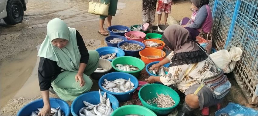 Terang Bulan Bikin Harga Ikan di Tapteng Melonjak