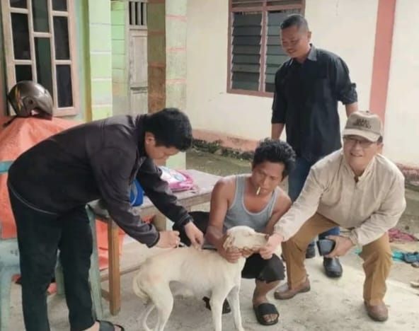 Diduga Rabies, Dinas Pertanian Nias Vaksin Anjing Peliharaan Warga di Maliwaa
