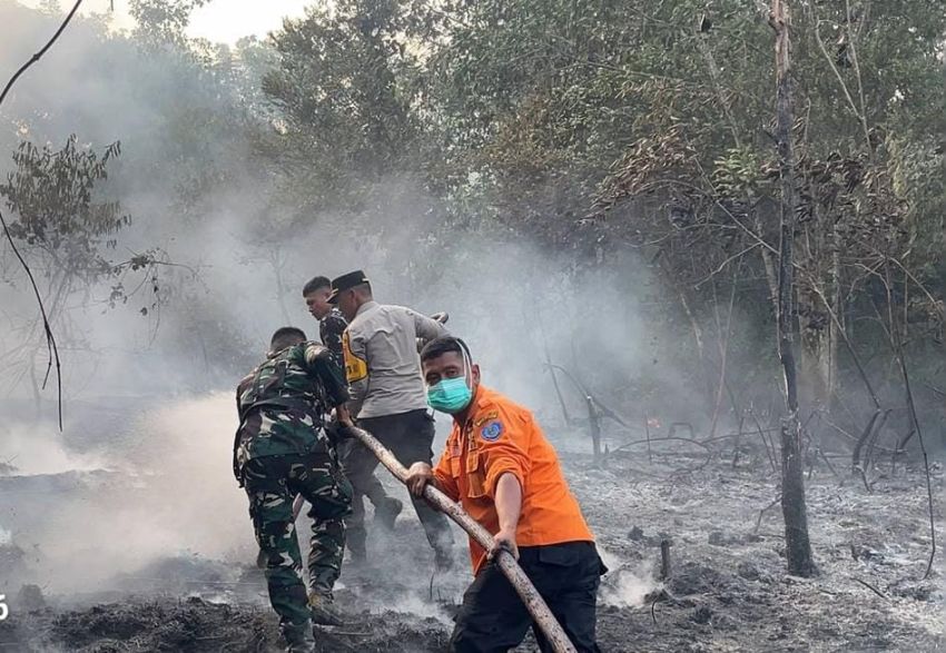 Polres Labuhanbatu, Yon TP 956/SBA Bersama Pemkab Gerak Cepat Padamkan Kebakaran Lahan di Puncak Panatapan