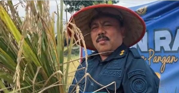 Lapas Rantauprapat Panen Raya Padi, Warga Binaan Dibekali Keterampilan Pertanian