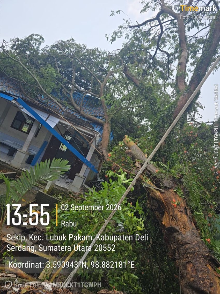 Hujan Deras dan Puting Beliung Rusak SMPN 1 Beringin dan Puluhan Rumah Warga