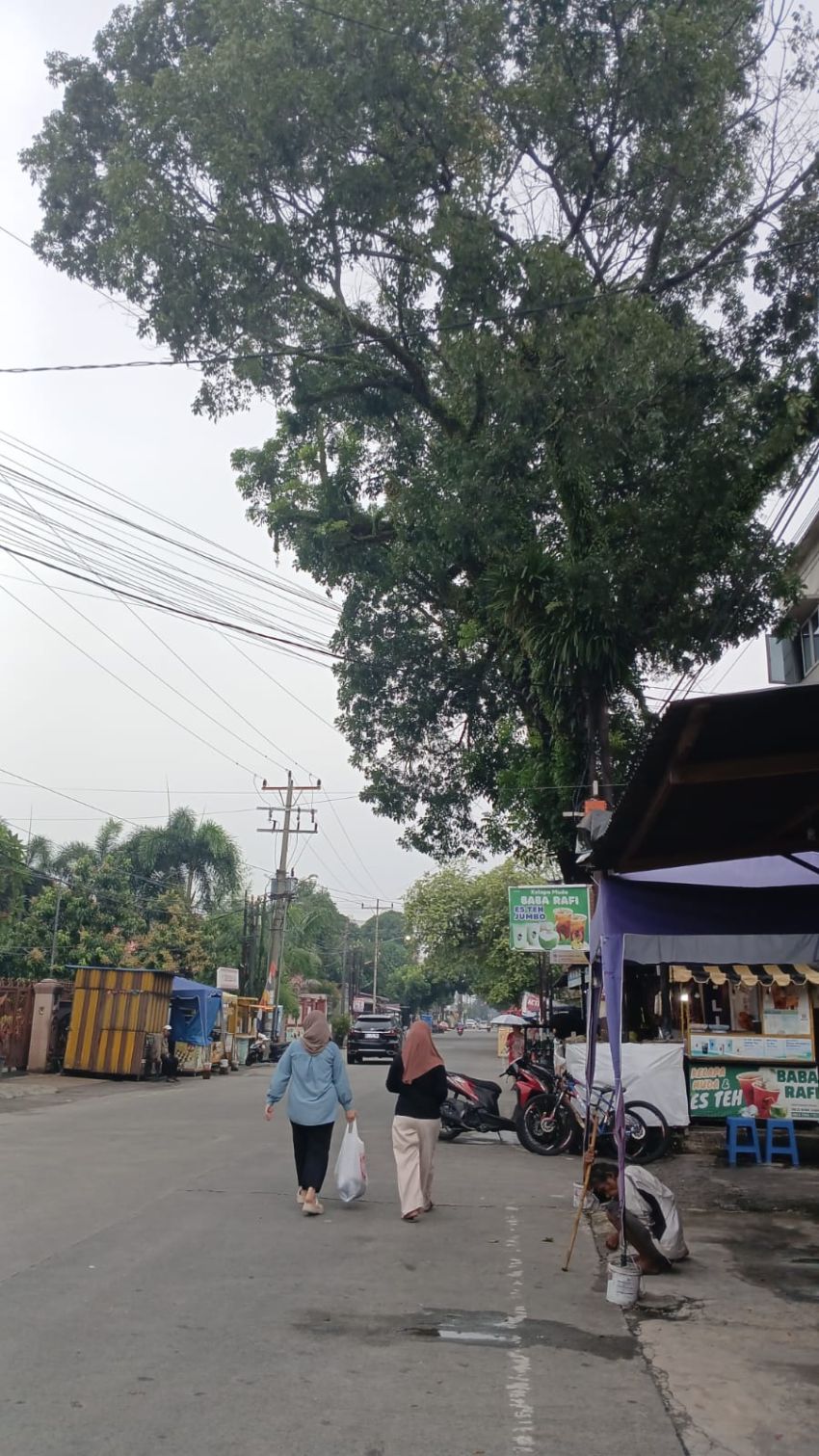 Pohon Beringin Berusia 25 Tahun Resahkan Warga Glugur, Khawatir Tumbang Saat Hujan dan Angin Kencang