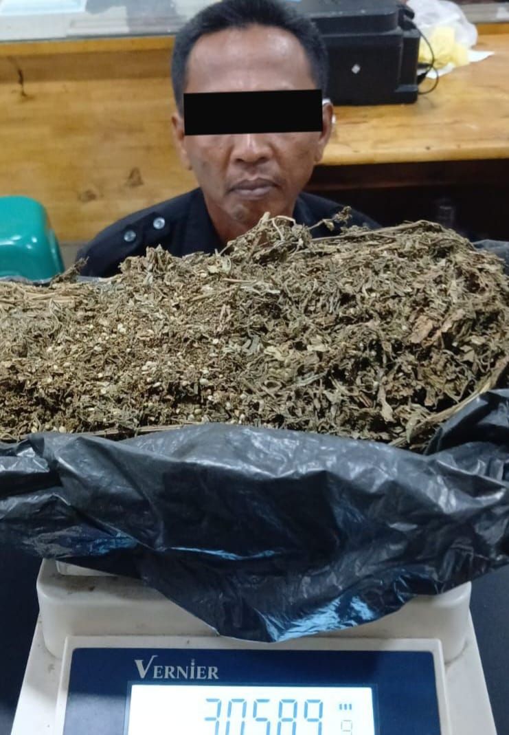 Di Balik Seragam Security, IR Edarkan 3 Ons Ganja Diciduk Polrestabes Medan,l