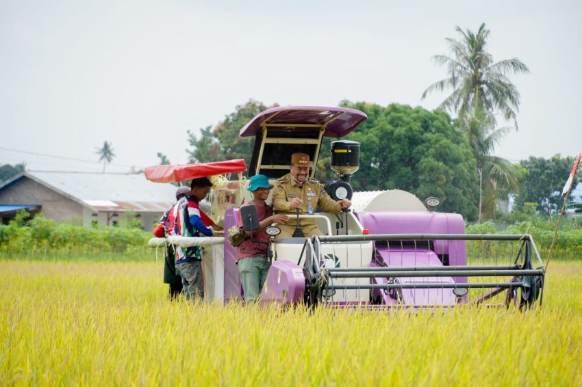 Sektor Pertanian Salah Satu Fokus Utama Pemkab Batubara