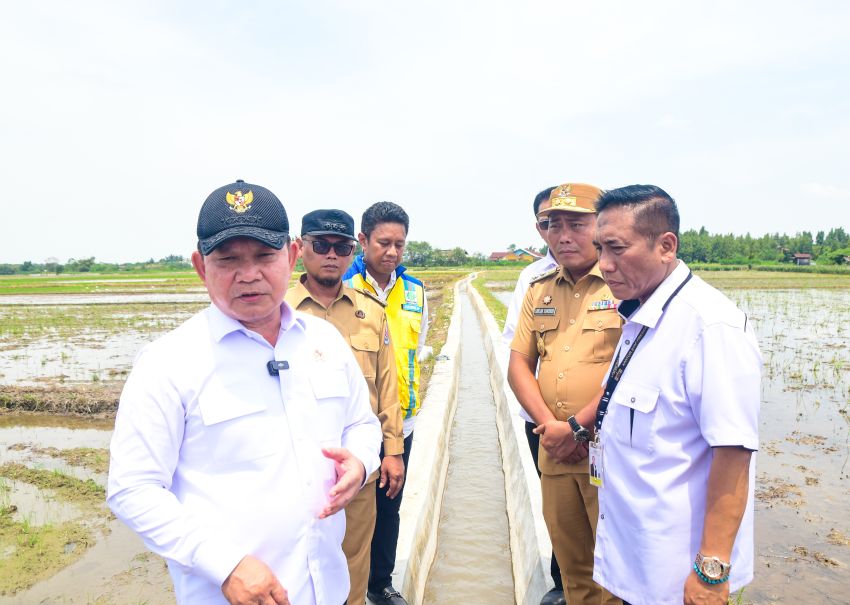Kepala Staf Kepresidenan Tinjau Saluran Irigasi Pertanian di Deliserdang