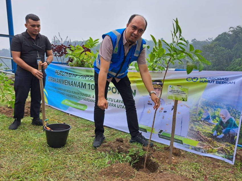 Tirtanadi Tanam 1.000 Pohon di Sibolangit hingga Berastagi
