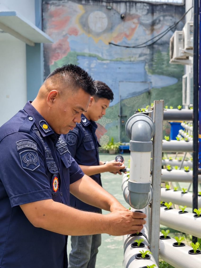 Lapas Pancurbatu Kembangkan Hidroponik LAPANBA, Bekali Warga Binaan Keterampilan dan Kemandirian