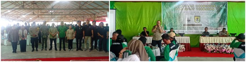 Seratusan Petani Sergai Ikuti Pelatihan Penggunaan Pestisida Terbatas