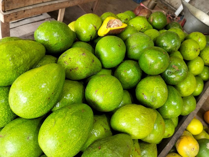 Alpukat Makin Diminati, Harga Capai Rp26.000/Kg
