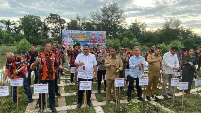 PP Sumut Tanam 100 Ribu Pohon, Pemantauan Dilakukan Tiap Enam Bulan