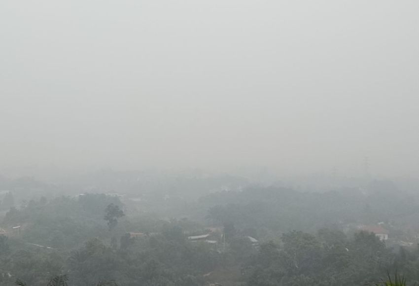 Asap Selimuti Sumut, Jarak Pandang di Aek Godang dan Silangit Turun hingga 3 Km