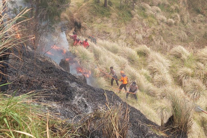 Kawasan Taman Nasional Bromo Terbakar, 3 Orang Tewas